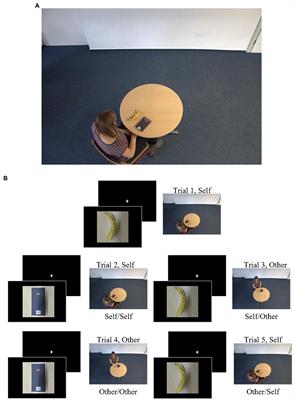 Cognitive flexibility as a protective factor for empathy